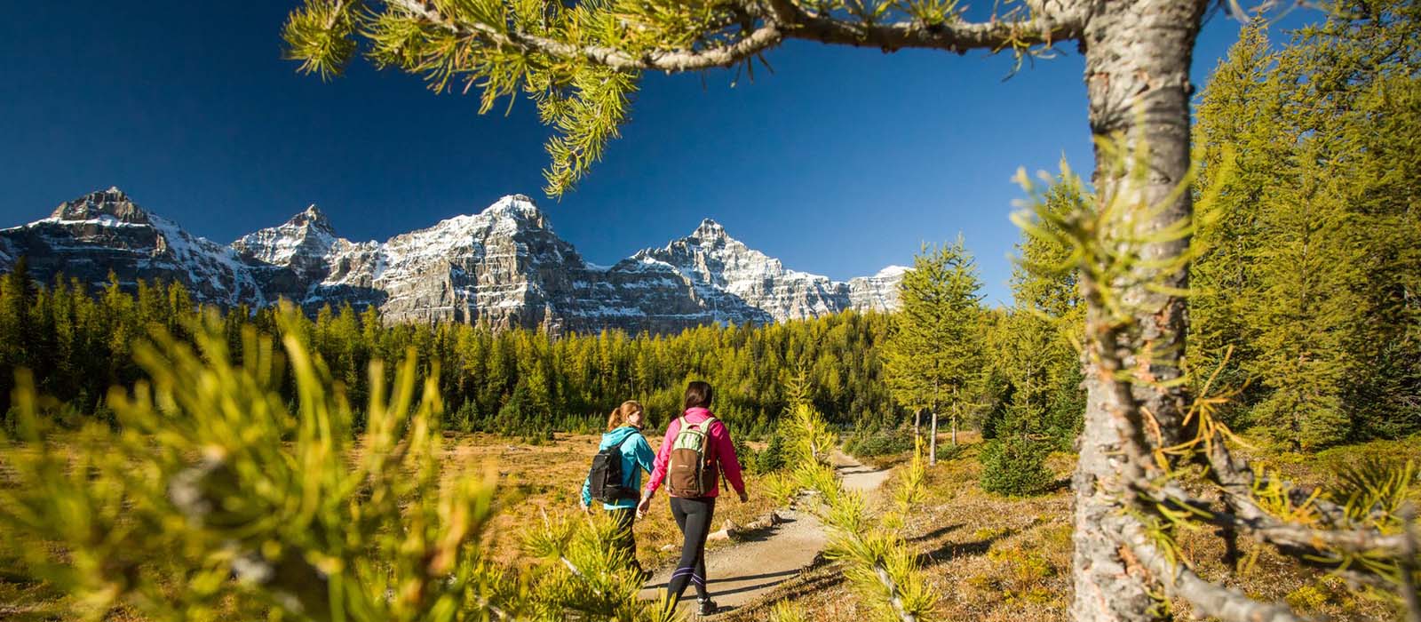 Two women with backpacks hike along a trail surrounded by pine forest with snow capped mountains in the background. The sky is clear and blue. 