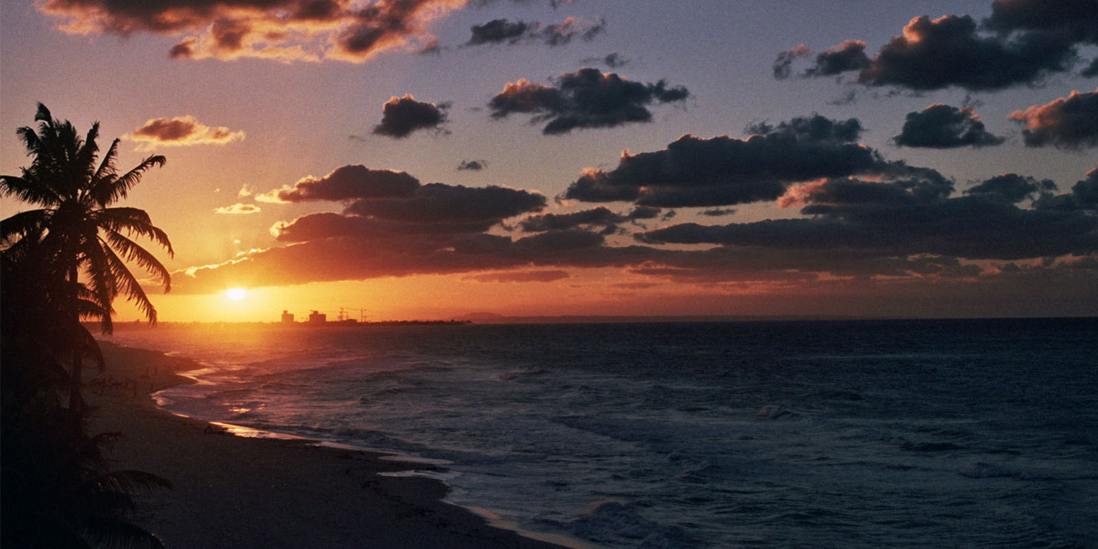 A beach sunset, purple skies and silhouettes of palm trees 